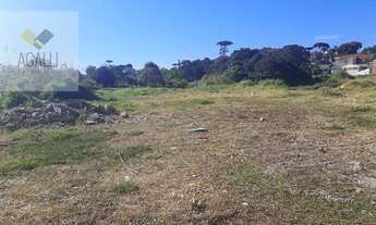 Imagem 3: Terreno à venda, 4000 m² por R$ 1.500.000,00 - Sítio Cercado - Curitiba/PR