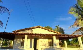 Imagem: Sítio no Cassange 4/4