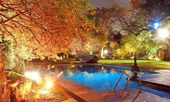 Imagem 2: MAGNÍFICA NO MORUMBI!