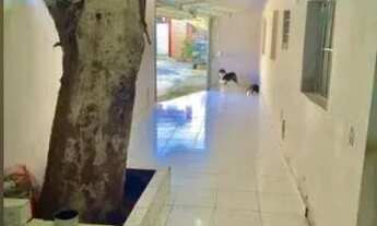 Imagem 6: CASA DE VILA - SÃO MIGUEL PAULISTA - SP