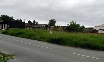 Imagem 2: TERRENO no PARANAGUAMIRIM com 0 quartos para LOCAÇÃO, 0 m²