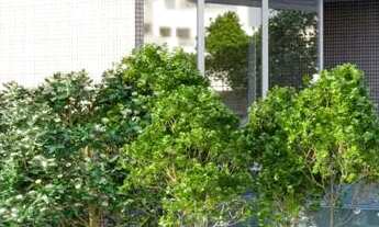 Imagem 3: Oportunidade!! Apto duplex 2 suites, Canto do Forte