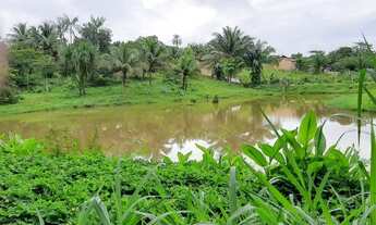 Imagem 2: Chácara Chácara com venda por R$350.000