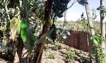 Imagem 2: Chácara à venda, 3760 m² por R$ 520.000,00 - Parque Nacional - Londrina/PR