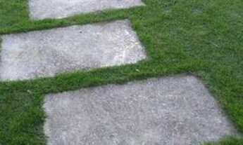 Imagem 7: Casa de condomínio para aluguel e venda tem 130 metros quadrados com 3 quartos