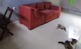 Imagem 5: Vende-se casa próximo Spulma Flex da Estrada da Maioba