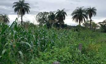 Imagem 6: Baixadão 5.000m², margens do Rio Cipó, terra de qualidade, Serra do Cipó