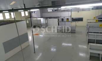 Imagem 5: Alugo galpão industrial no Socorro - SP