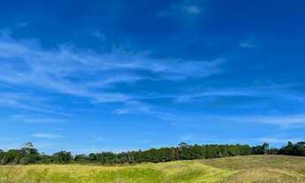 Imagem 6: Lote/Terreno para venda tem 500 metros quadrados em Centro (Caucaia do Alto) - Cotia - SP
