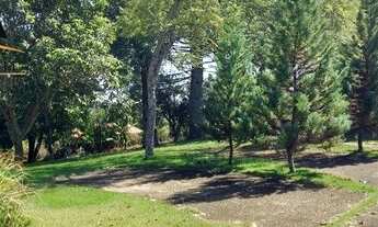 Imagem 5: Chácara para Venda em Pinhalzinho, centro