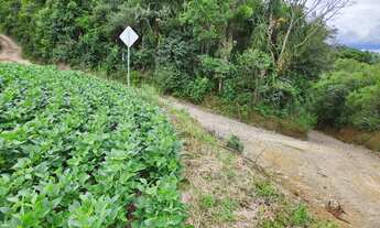 Imagem 4: Chácara 24.200m2 Campo largo/Colônia São João