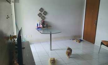 Imagem 6: Apartamento para venda na Cohama Rua do Aririzal possui 53 metros quadrados com 2 quartos