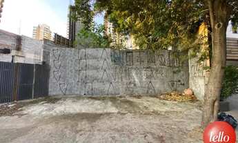 Imagem 3: São Paulo - Terreno Padrão - Tatuapé