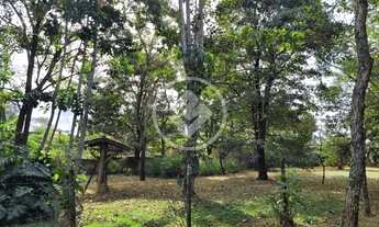 Imagem 4: Chácara Aparecida de Goiânia codigo: 22981