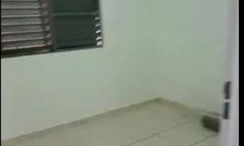 Imagem 3: Vendo apartamento CdHU Júlio de Mesquita
