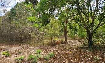 Imagem 2: VENDO 20 hectares, TERRENO NA BR343, ENTRE TERESINA/ALTOS