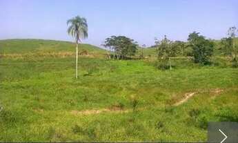 Imagem 3: Fazenda em Miracatu 230 alqueires paulista