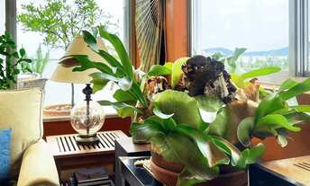 Imagem 6: Cobertura em Canasvieiras Florianópolis