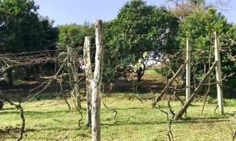 Imagem 7: Terreno para Venda em Nova Petrópolis, Logradouro