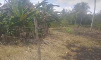 Imagem 6: Ótima oportunidade