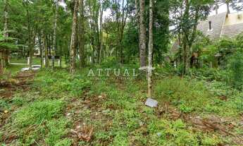 Imagem 5: TERRENO NO LAGO NEGRO