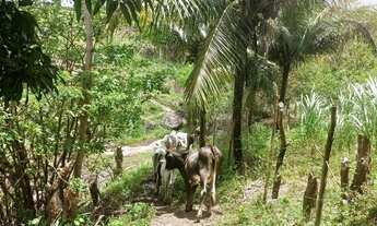 Imagem 2: Sitio Chácara com venda por R$180.000
