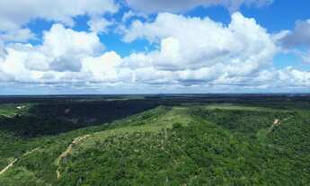 Imagem 2: FAZENDA CAFÉ - 2 ALQ