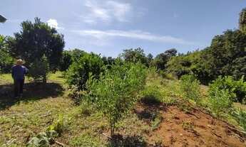 Imagem 3: Chácara no Córrego do Meio 14.9 Hectares - Próximo ao Colégio Agrícola