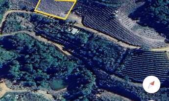 Imagem: Excelente terreno para plantar ou até mesmo