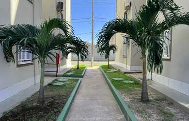 Imagem 5: Apartamento com 3 quartos na Cohama TR220975 SLZ-DCT2KQ