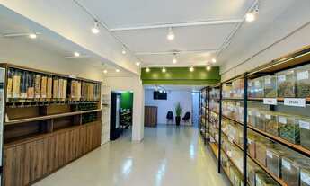 Imagem 2: LOJA DE PRODUTOS NATURAIS