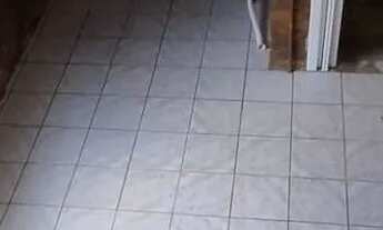 Imagem 5: SAO LEOPOLDO - APARTAMENTO 1 DORM - RIO DOS SINOS