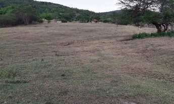 Imagem: Sítio para Venda em Palmeira dos Índios