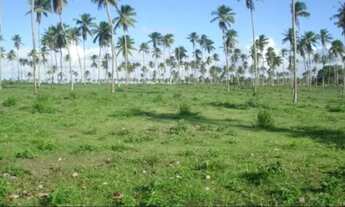 Imagem: Área de terras - Nova Descoberta, Itaporanga