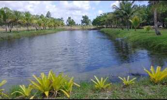 Imagem: Fazenda 36 Hectares em Canavieiras/Ba