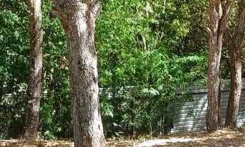 Imagem 3: Imóvel para venda com 885 metros quadrados em Setor Habitacional Jardim Botânico - Brasíli