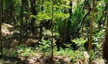 Imagem 2: Terreno com riacho em Igaratá