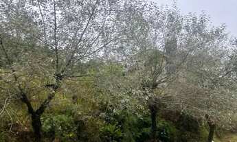 Imagem: Terreno - Bairro Vale das Colinas