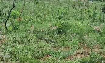 Imagem 7: Vendo uma chácara em Águas Linda de Goiás