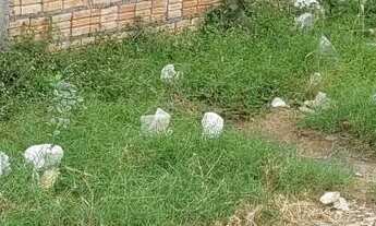 Imagem: Terreno em ótima oportunidade e localização