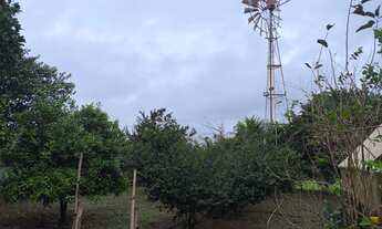 Imagem 6: Sítio em Quissamã