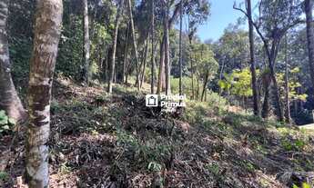 Imagem 3: Terreno à venda, 967 m² por R$ 180.000,00 - Ponte da Saudade - Nova Friburgo/RJ