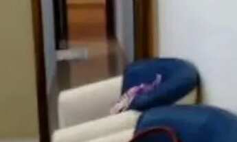 Imagem 2: APARTAMENTO - NOVA PETRÓPOLIS - SP