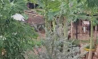 Imagem 6: Chacara Mairipotaba