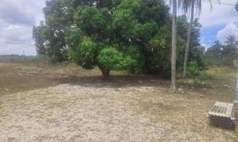 Imagem 3: Vendo Sitio em Vera Cruz