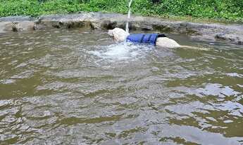 Imagem 2: Aluguel Sítio Vila Nova Alfredo Chaves- ES