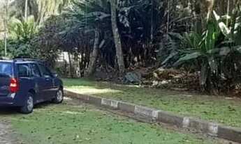 Imagem 6: Lote em Rua Tiradentes - Caraguatá - Mairiporã/SP