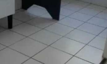 Imagem 7: Vendo ou Troco por casa ou Terreno