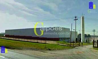 Imagem 2: Pavilhão/Galpão para alugar no bairro Jardim Olga Veroni - Limeira/SP