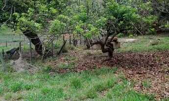 Imagem 7: Vende-se Fazendinha ou troca por casa em BH
